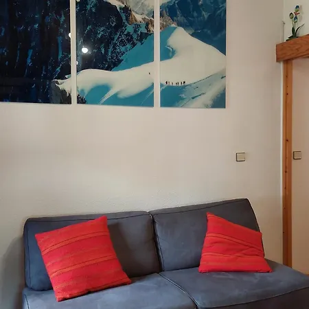 Apartmán Chamonix: 2 Pieces Avec Parking Proche Centre - Fr-1-517-66